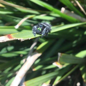 Meet your Posher, Lorena